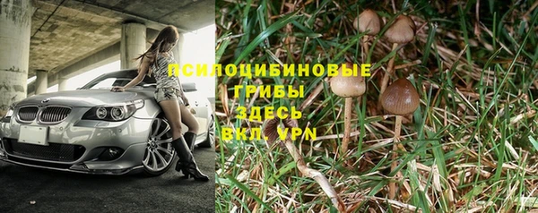 кокаин Дмитриев