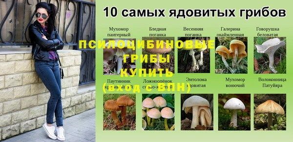 стафф Фурманов