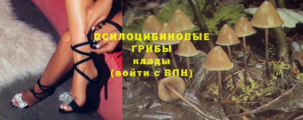 кокаин Дмитриев